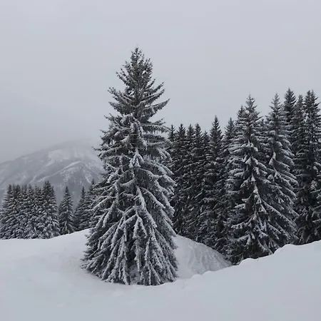 Landhaus Christa - Bichlwirt *